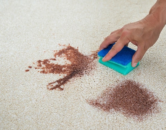 carpet blood stain removal